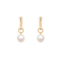 Ava Earrings - Pearl & Gold