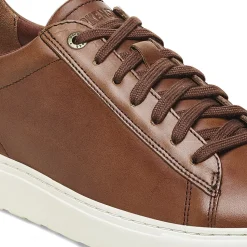 Bend Low - Cognac