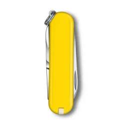 Classic SD Colors - Sunny Side