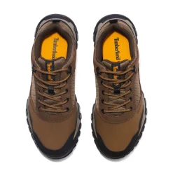 Lincoln Peak Low Hiker
