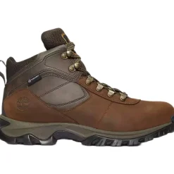 Mt. Maddsen Mid - Dark Brown