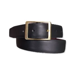 Reversible Belt