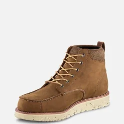 Setter Fifty - 3918