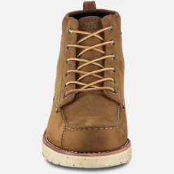 Setter Fifty - 3918
