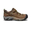 Targhee II WP - Cascade Brown/Golden Yellow